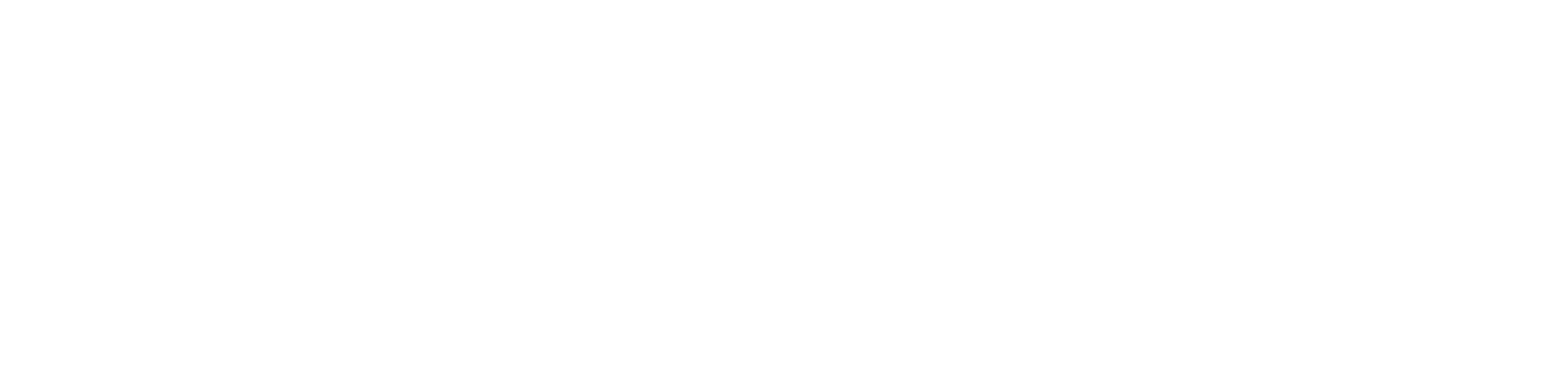Name and Logo White